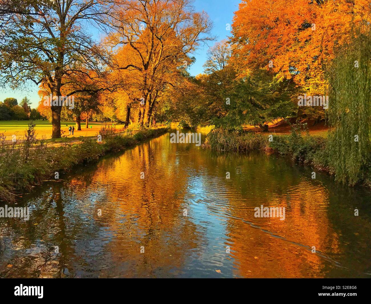 Autumn colours on trees with reflections in the still water of a canal - Smartphone Captured Stock Image