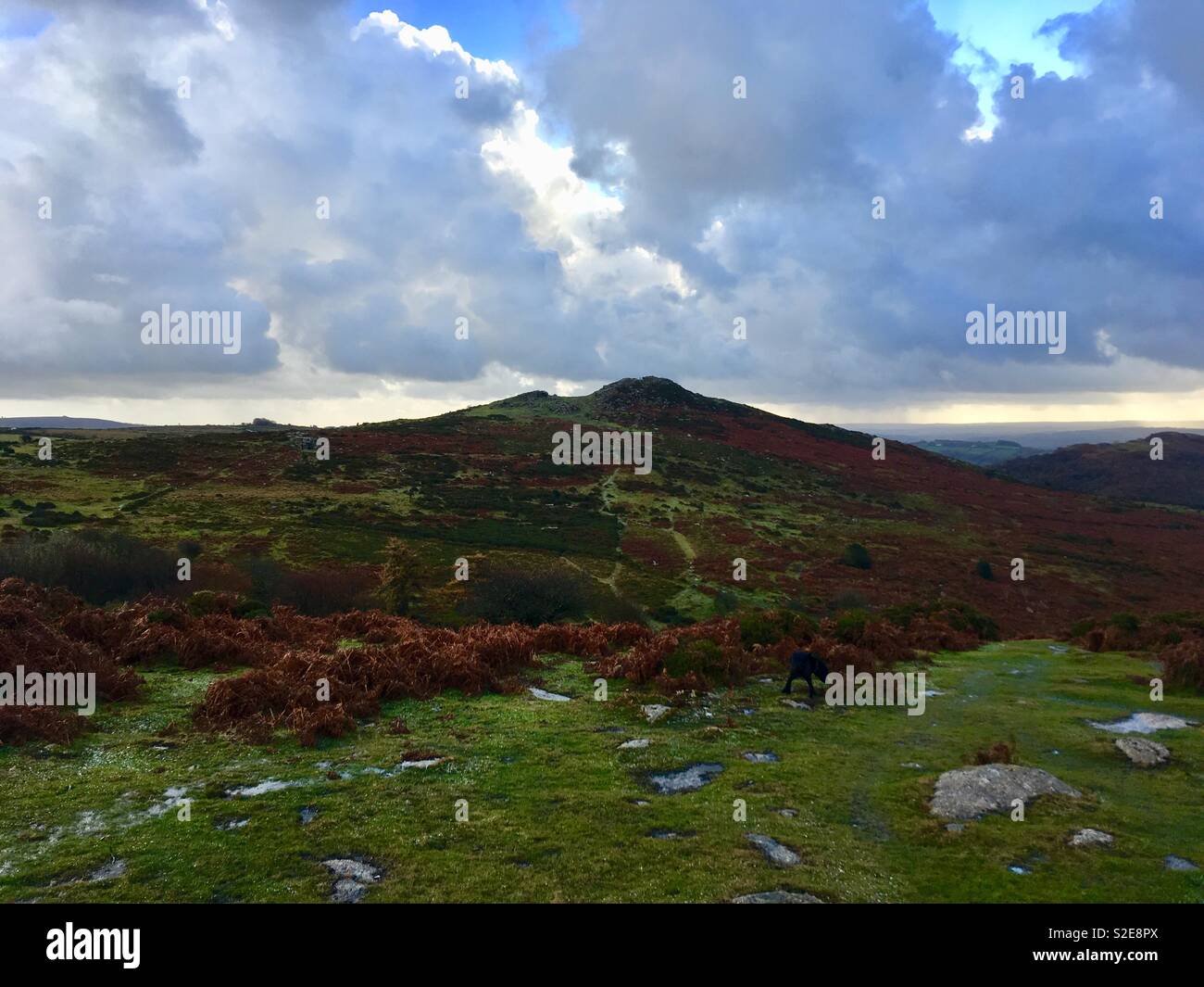 Dartmoor UK moorland landscape on an early November morning Stock Photo