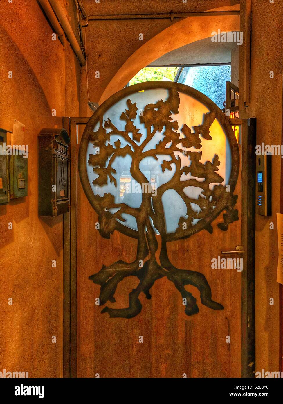 The tree of life forms part of a wooden door. - Smartphone Captured Stock Image