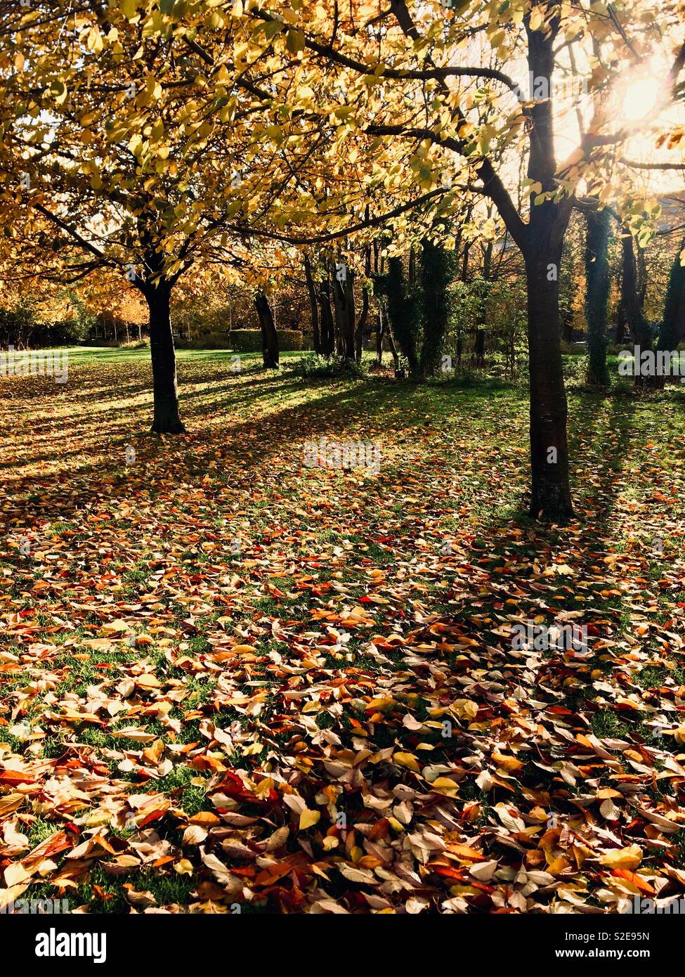 Autumn in London park Stock Photo