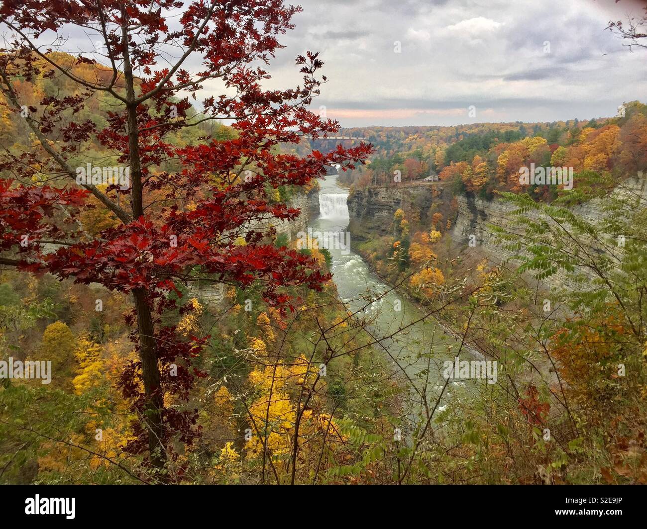 Letchworth state park - Smartphone Captured Stock Image