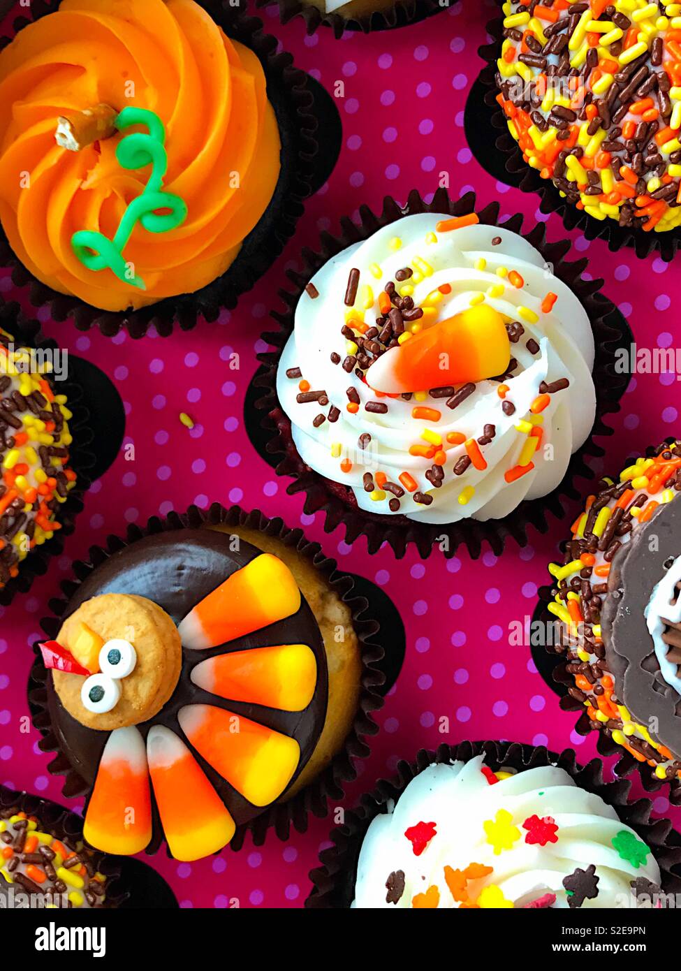 Fall cupcakes viewed from above Stock Photo