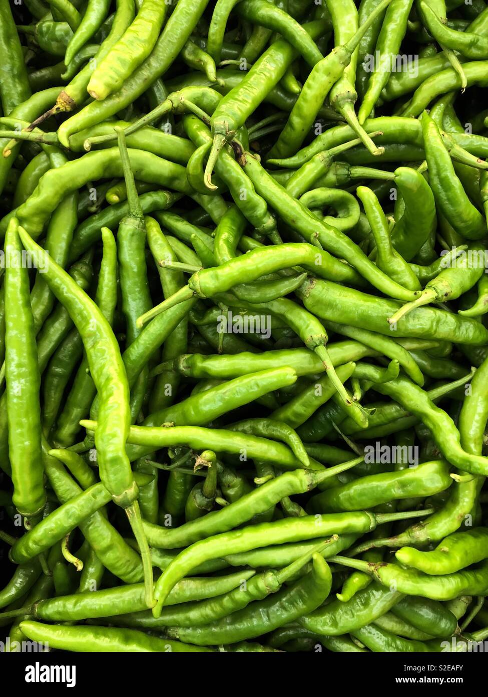 green chili pepper Stock Photo - Alamy