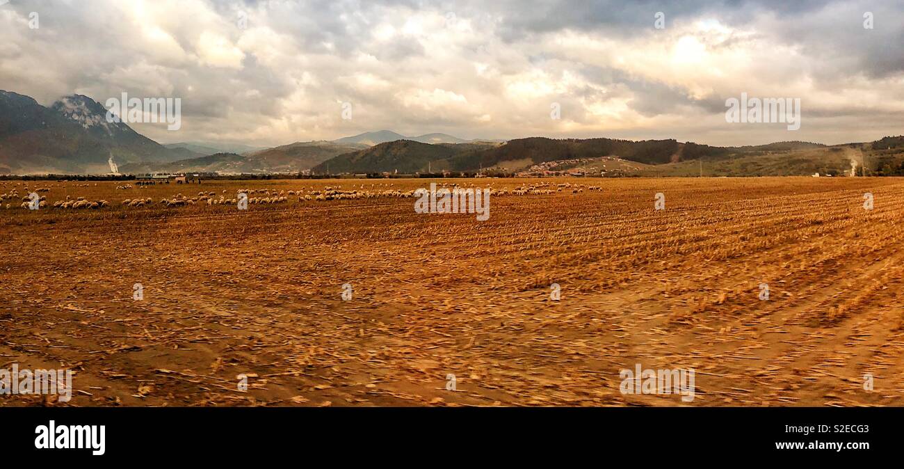 Romanian countryside. - Smartphone Captured Stock Image
