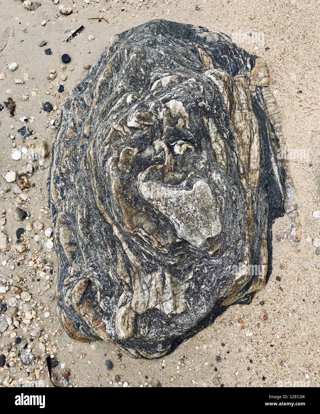 Rock on the beach in Halkidiki Stock Photo