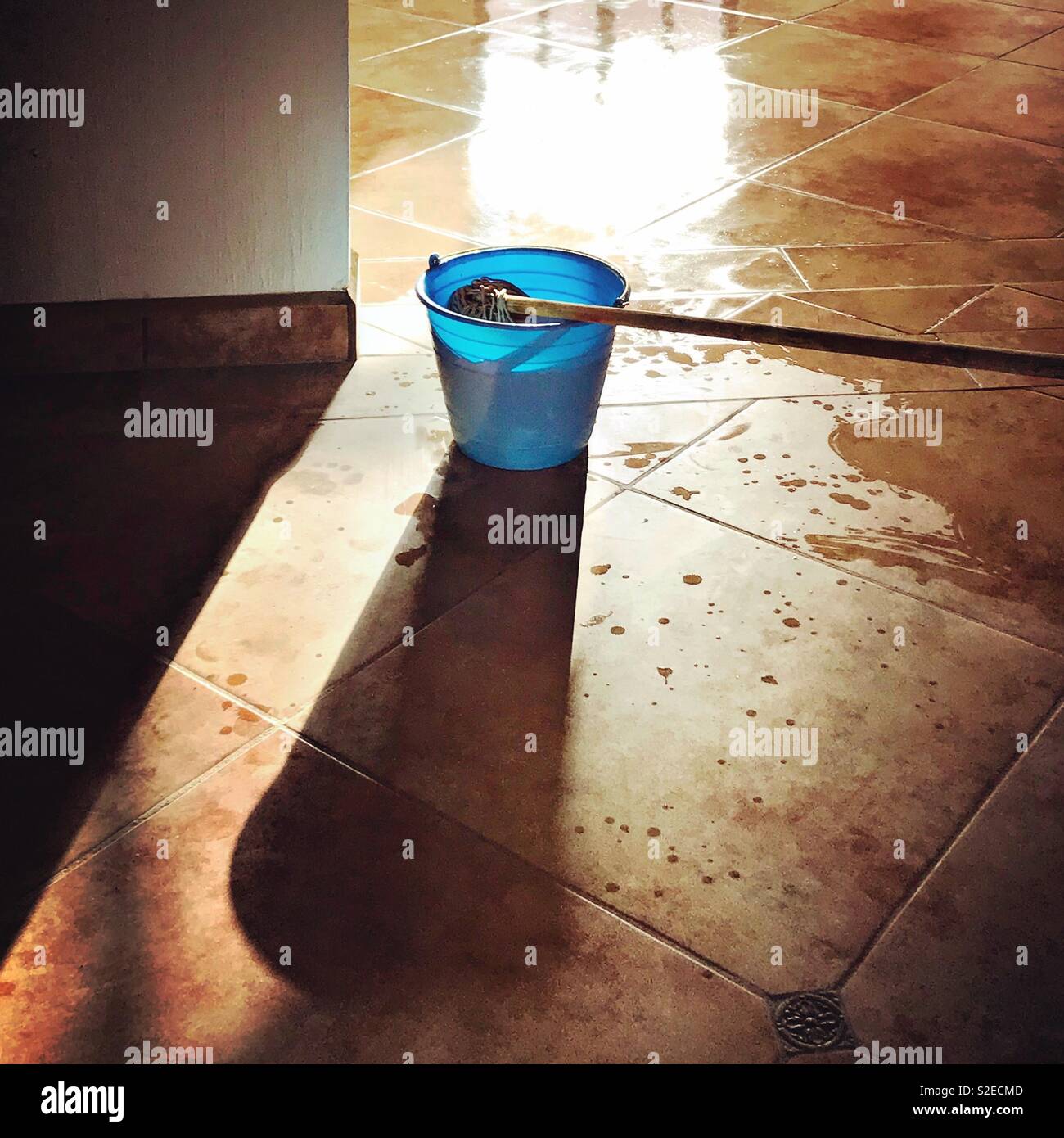 Washing Wet Floor Bathroom Mop Stock Photo by ©ShotStudio 382919910