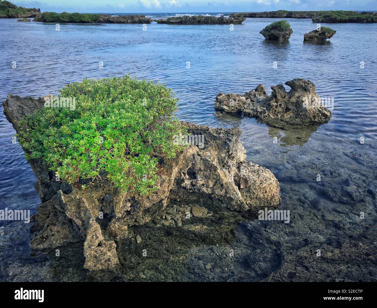 Rocky beach of the Pacific Ocean, Guam. Stock Photo