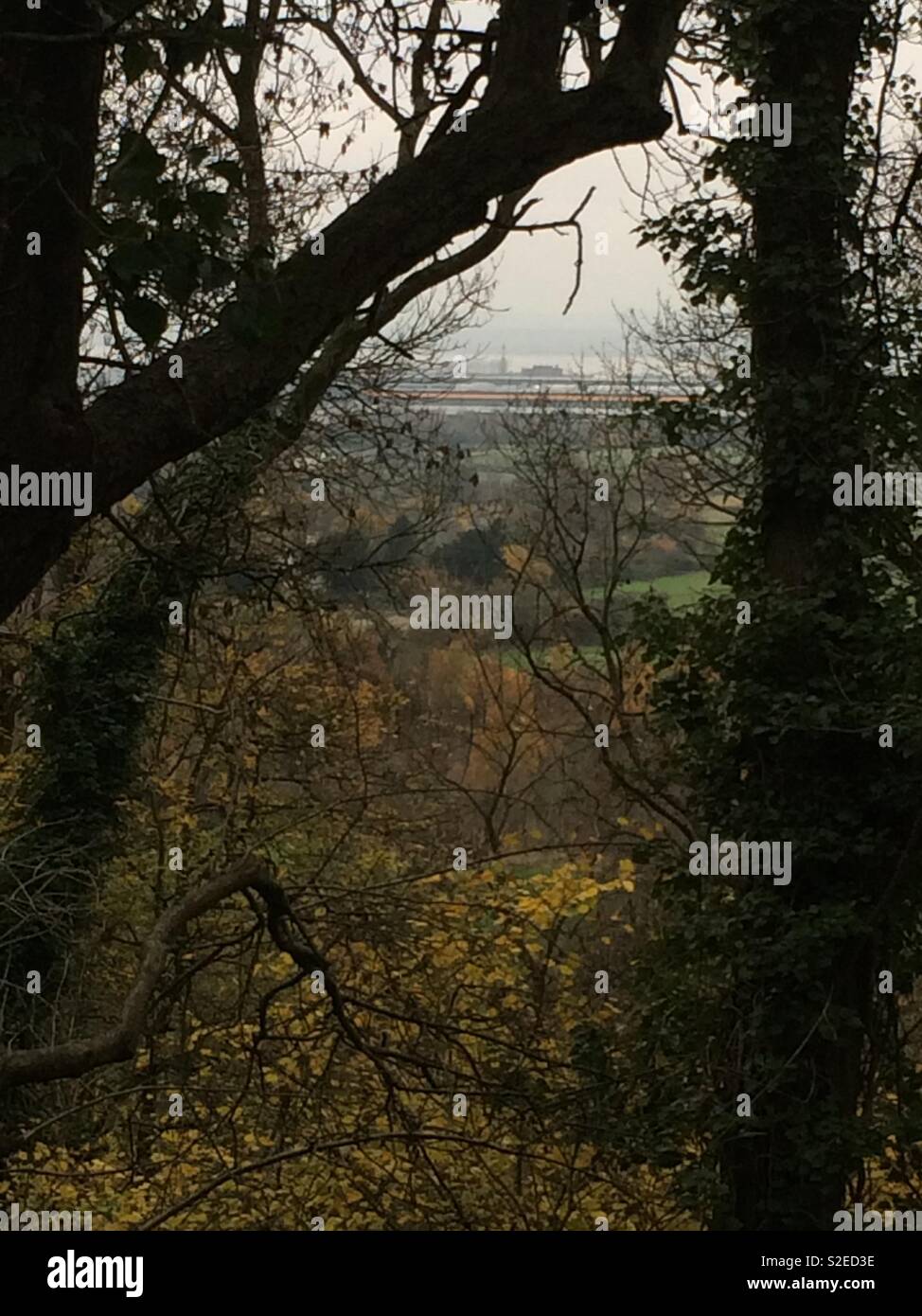 Looking through trees at buildings in the far distance Stock Photo