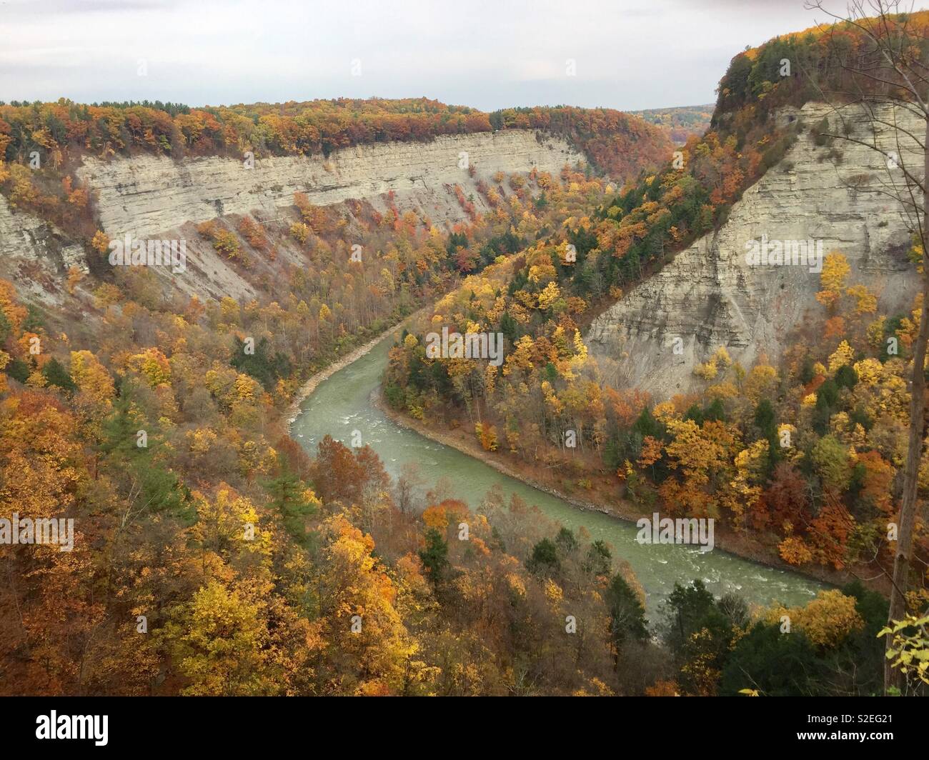 Letchworth canyon in fall - Smartphone Captured Stock Image