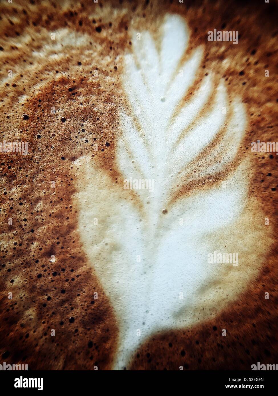 Artisan barista art coffee foam leaf design Stock Photo