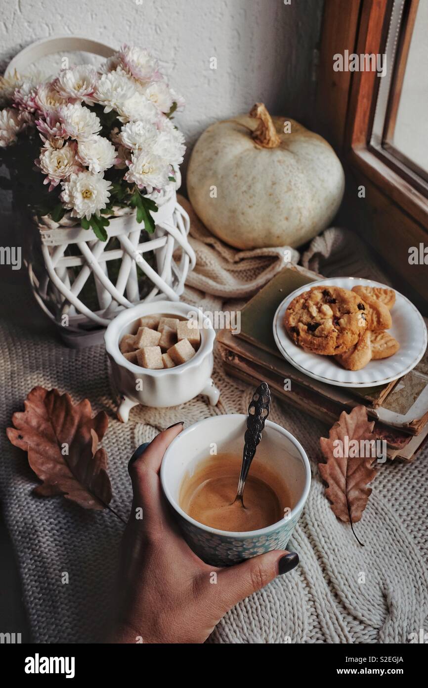 Autumn mornings Stock Photo