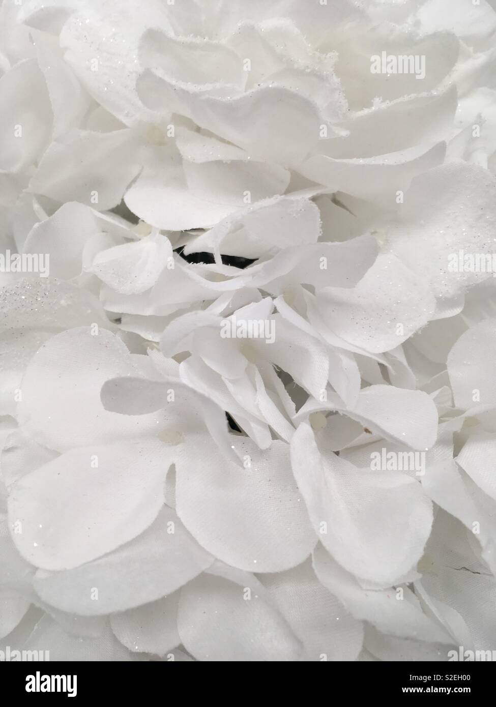 White silk. Flower Stock Photo Alamy