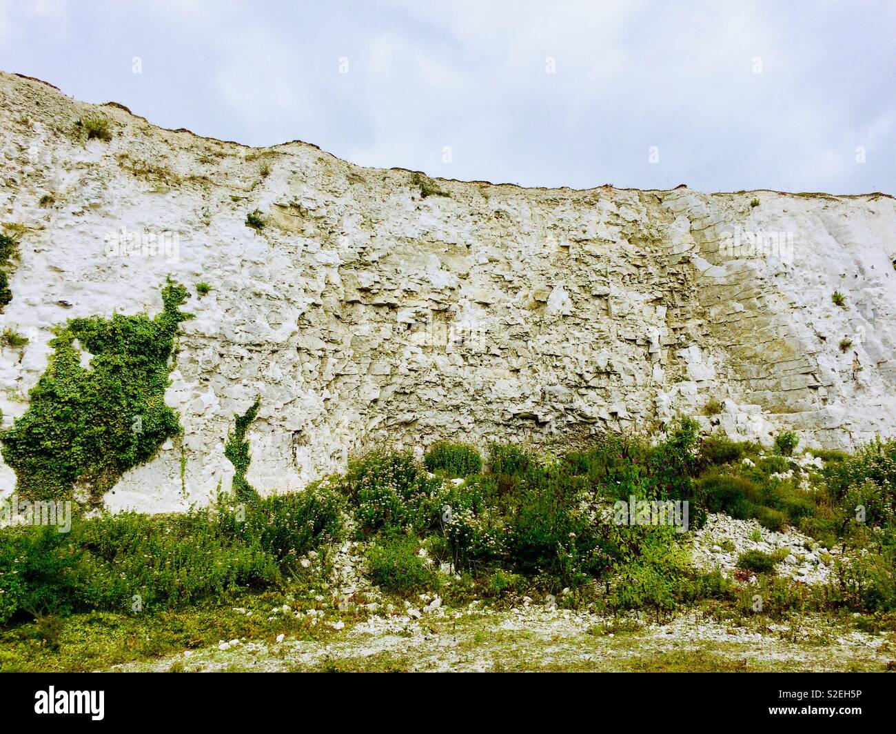 Chalk cliff face at abandoned quarry, Kent Stock Photo Alamy