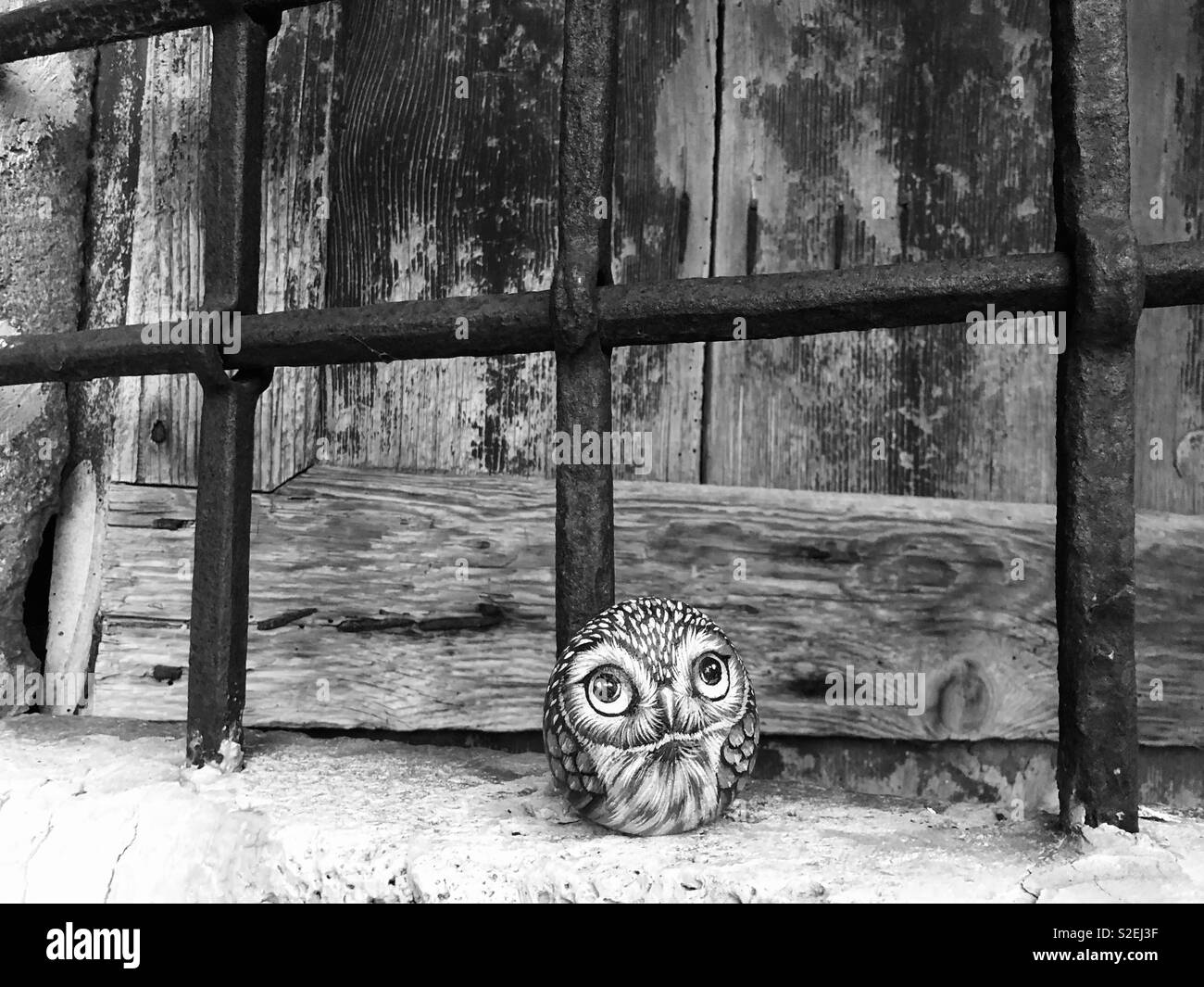 Stone owl on an old window with iron grating - Smartphone Captured Stock Image