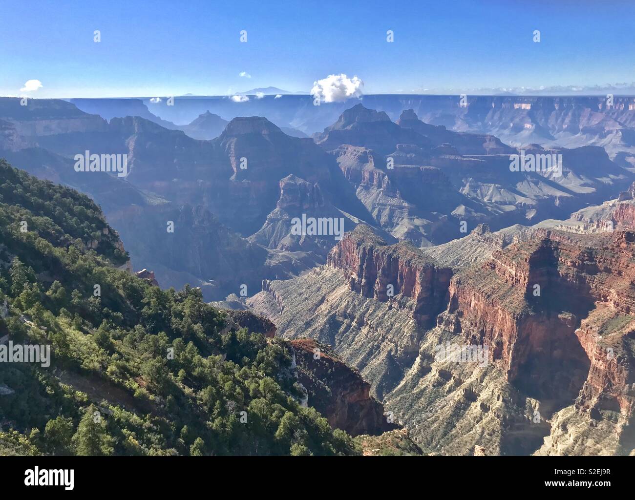 Grand Canyon - Smartphone Captured Stock Image