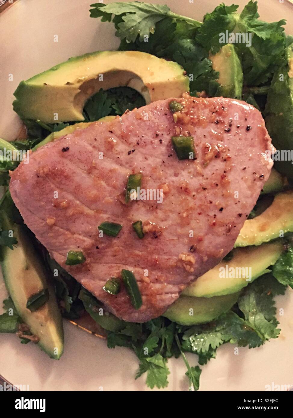 Gourmet entrée of seared tuna and avocado slices on a bed of cilantro. Stock Photo