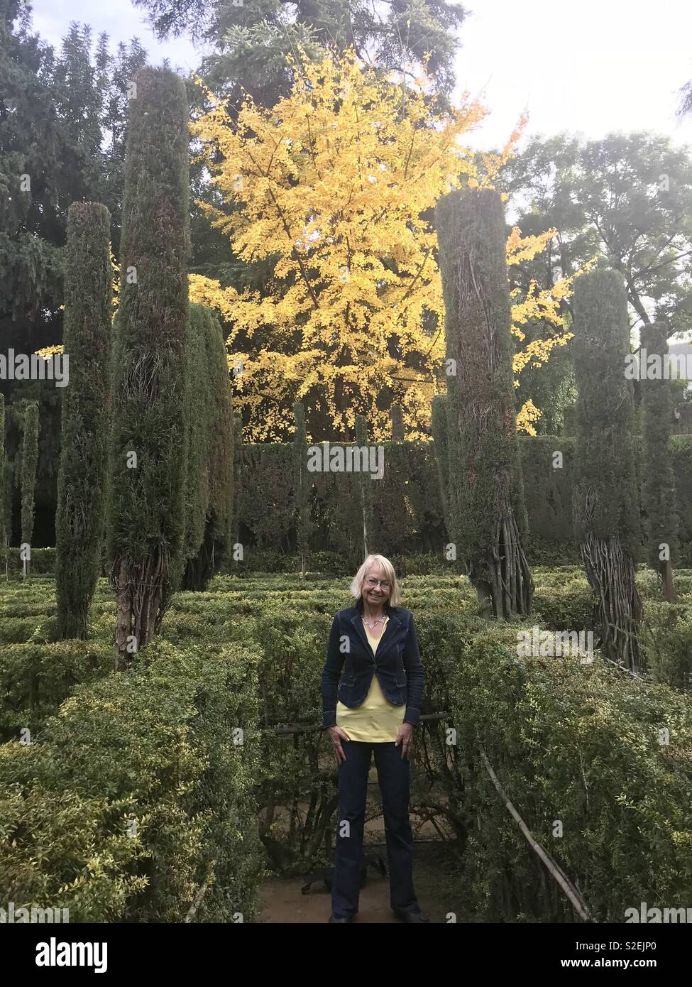 Woman in yellow in formal gardens with yellow tree Stock Photo