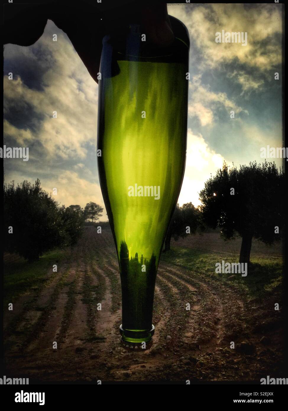 Method Traditional sparkling wine ready for disgorging, Catalonia, Spain - Smartphone Captured Stock Image