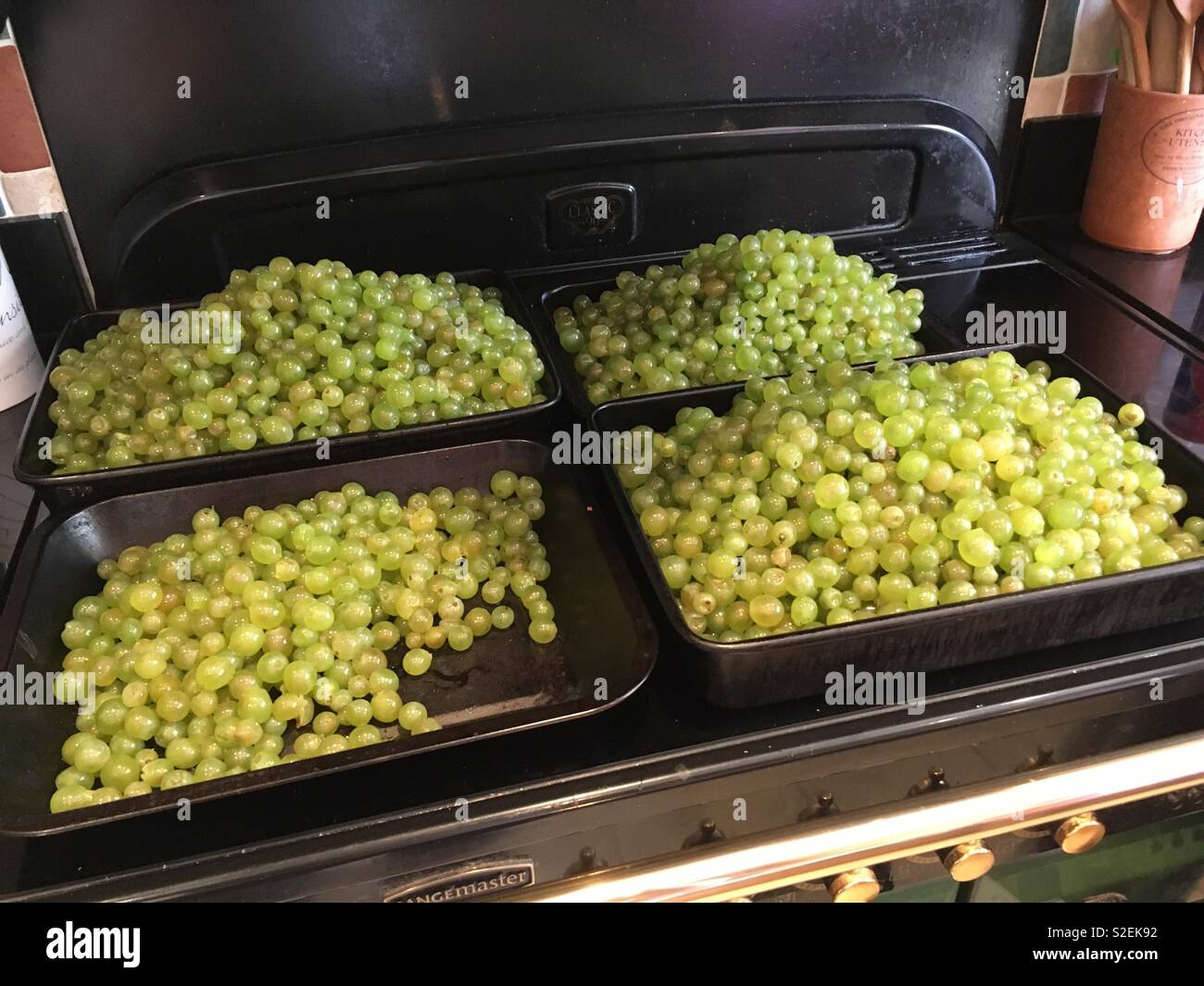 Grapes ready to be turned into wine Stock Photo Alamy