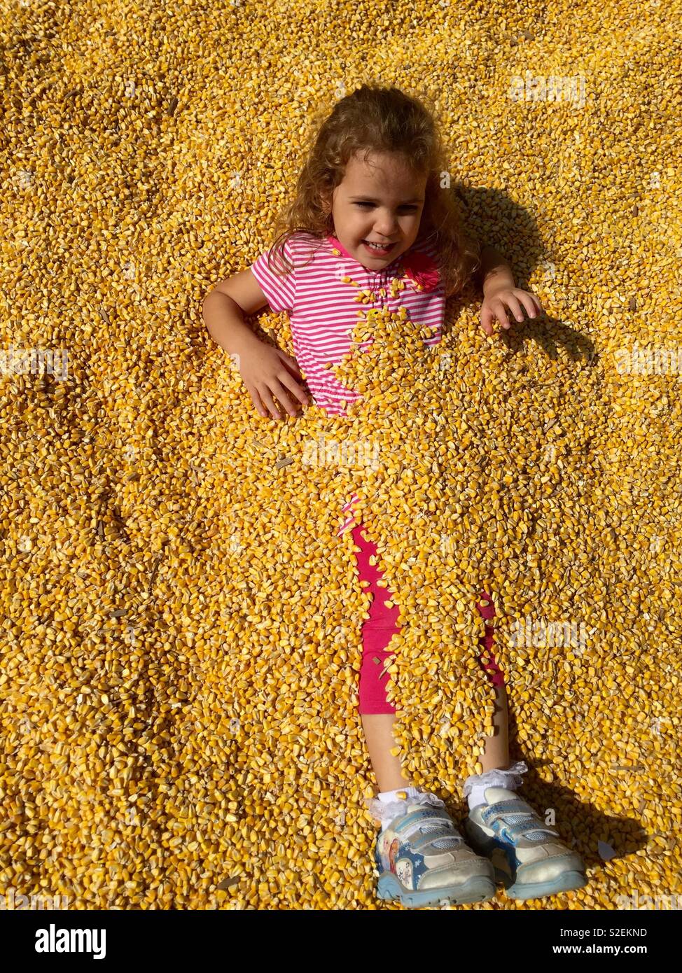 Girl in corn pit hires stock photography and images Alamy