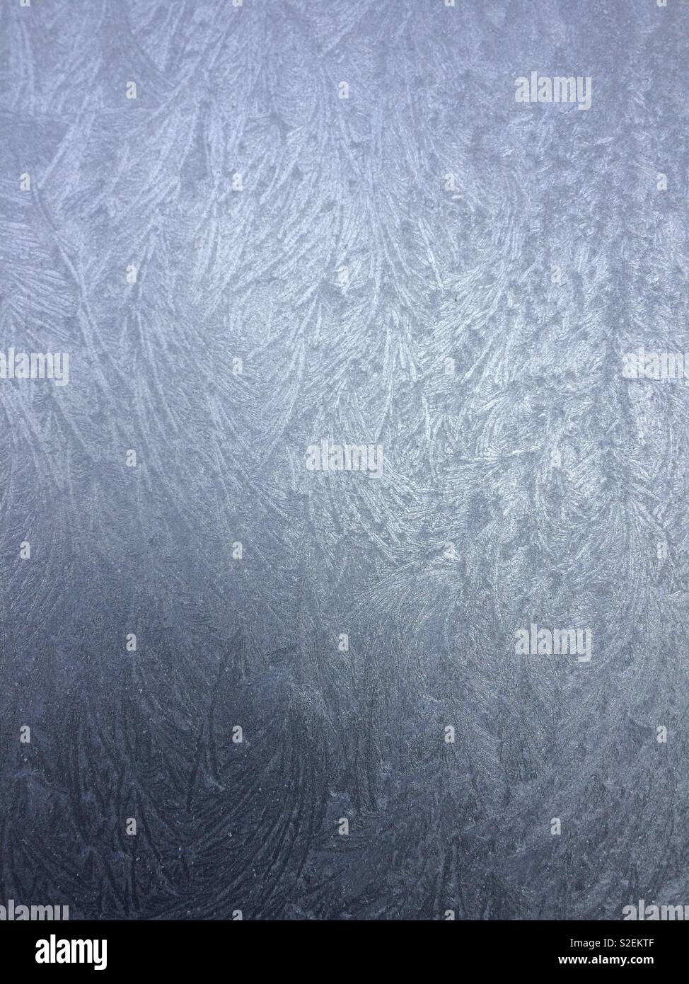 Frost patterns Stock Photo