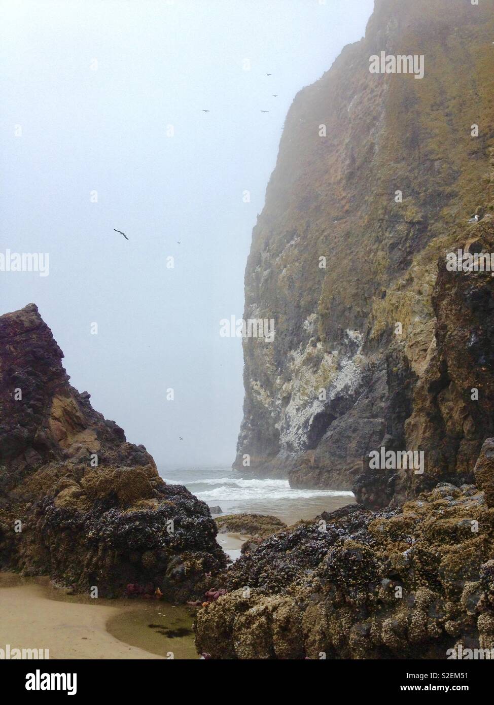 Haystack Rock - Smartphone Captured Stock Image