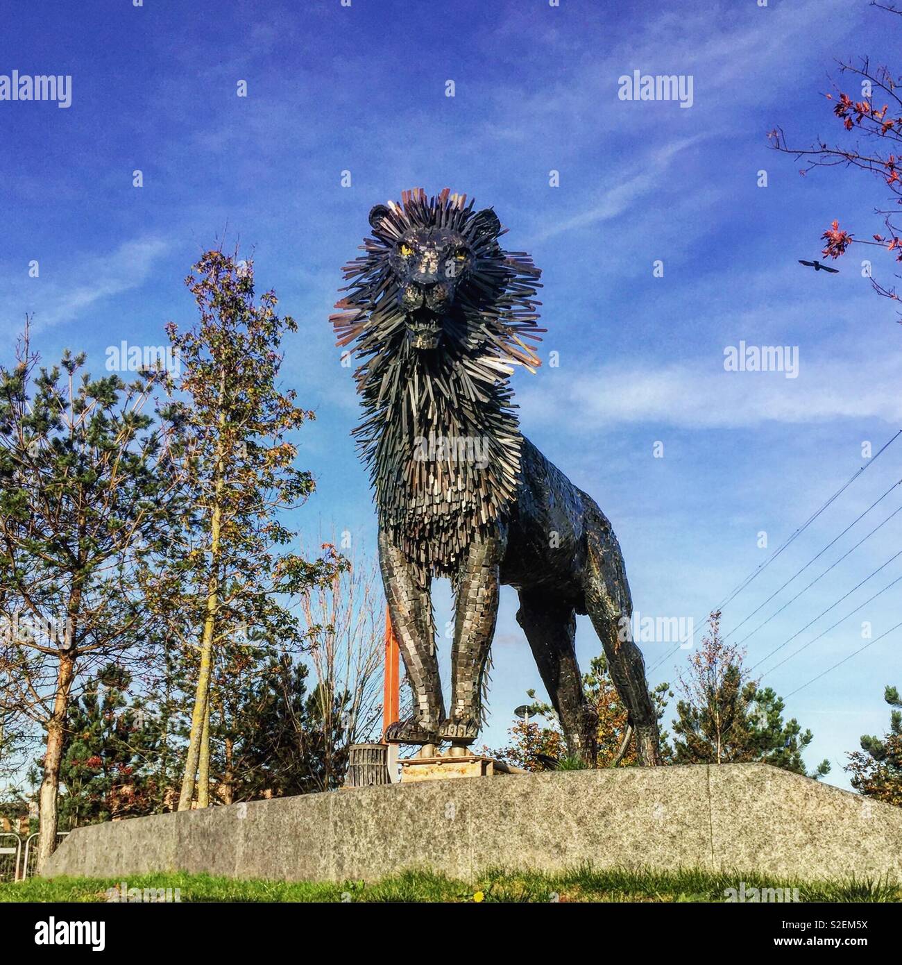 Aslan the lion. Stock Photo