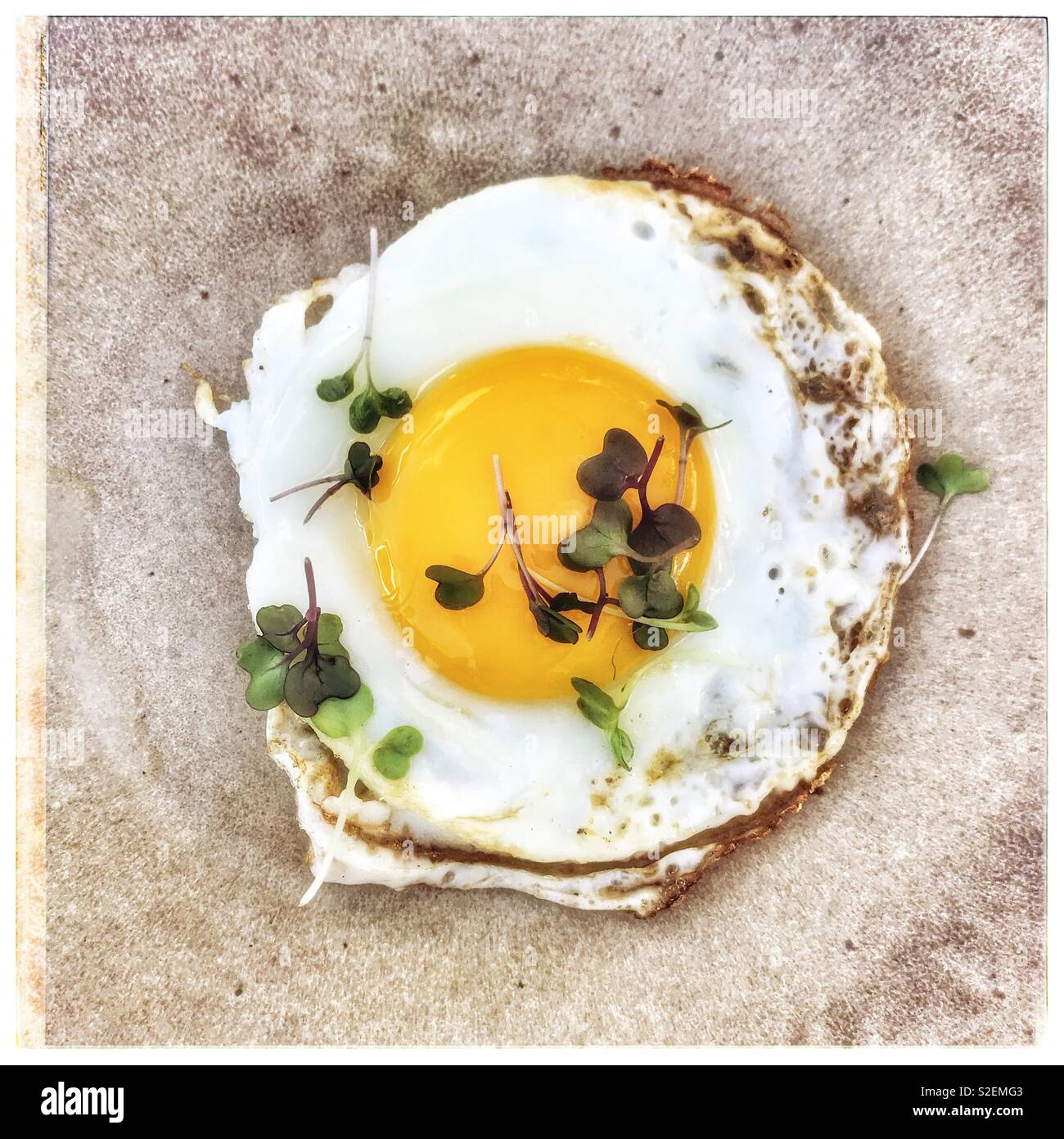Fried egg with micro leaves. - Smartphone Captured Stock Image