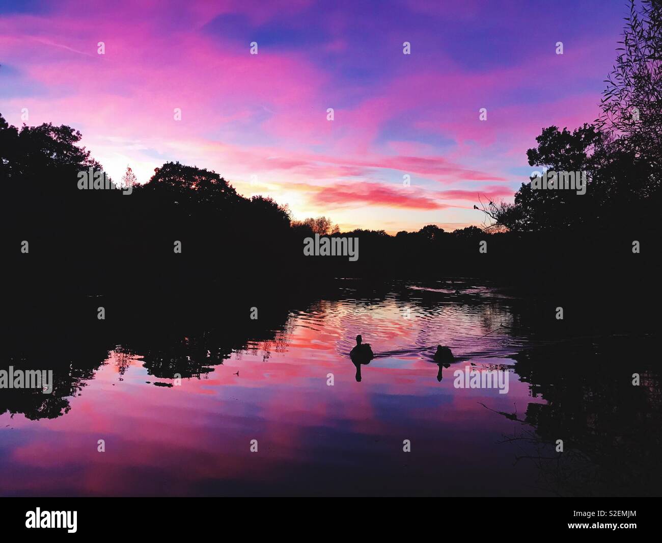 A pond at sunset with a vibrant sky - Smartphone Captured Stock Image