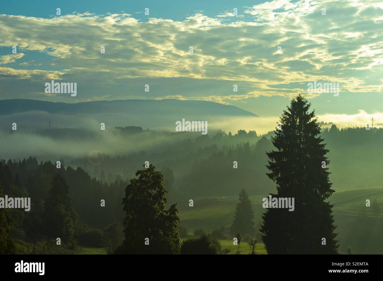 Sunrise with fog in the woods with mountain Stock Photo - Alamy