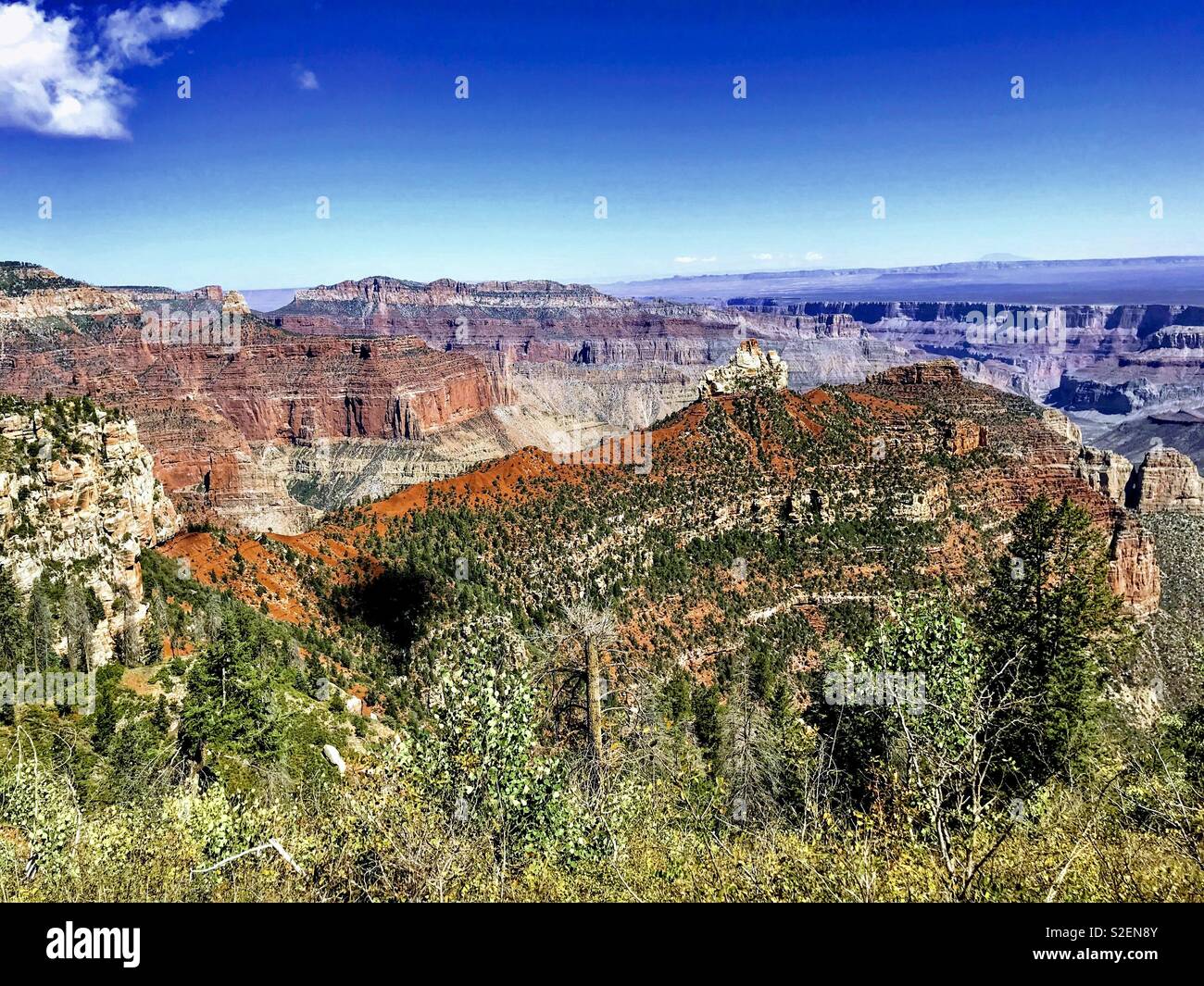 Grand Canyon - Smartphone Captured Stock Image