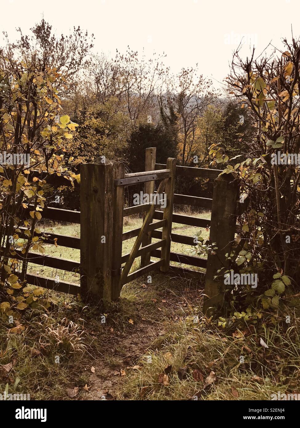 Woodland gate and fence hi-res stock photography and images - Alamy