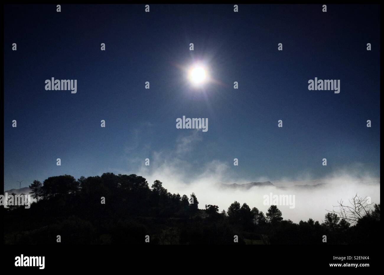 Sun breams down upon a layer of fog with silhouetted pine trees, Catalonia, Spain. - Smartphone Captured Stock Image