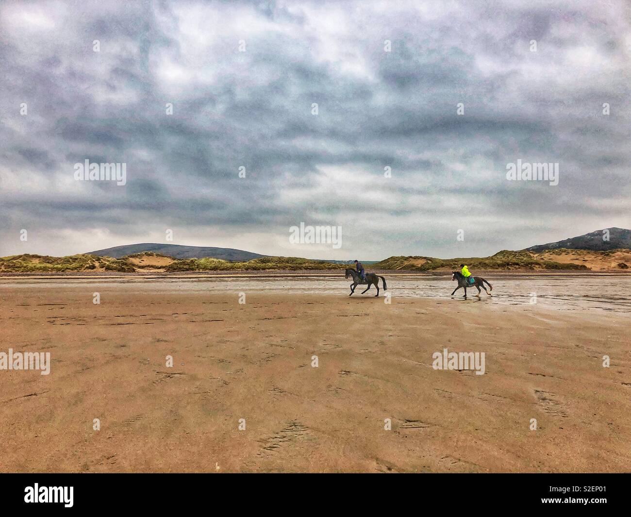 Two horses and riders cantering across Llangennith beach, Gower, Wales, November. - Smartphone Captured Stock Image