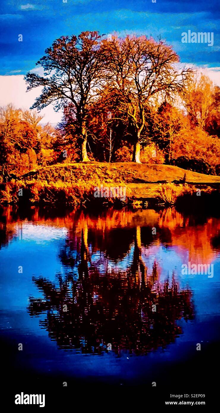 Tree Reflection in Lake Autumn Stock Photo - Alamy