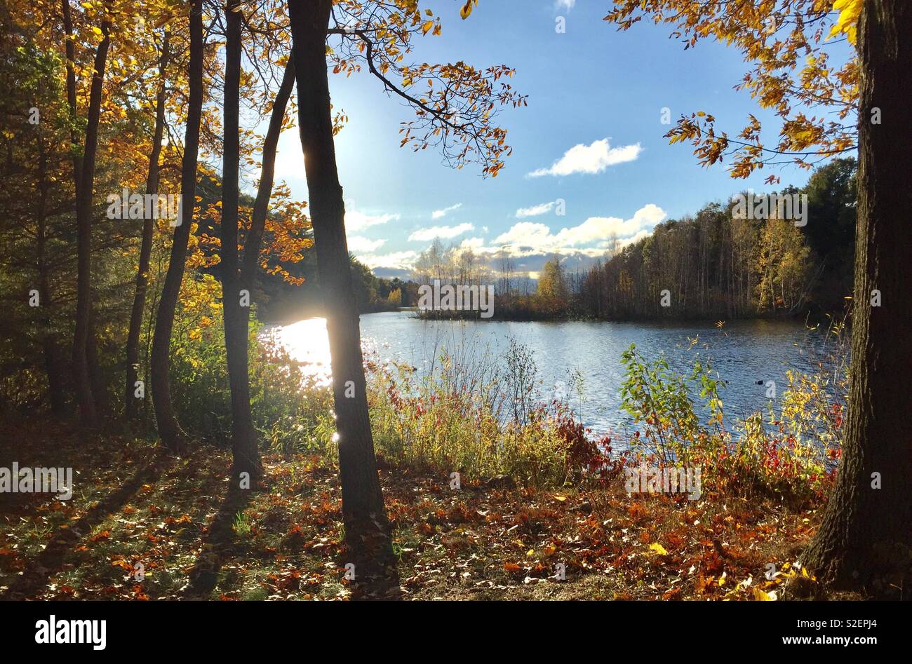 Fall colors along river Stock Photo