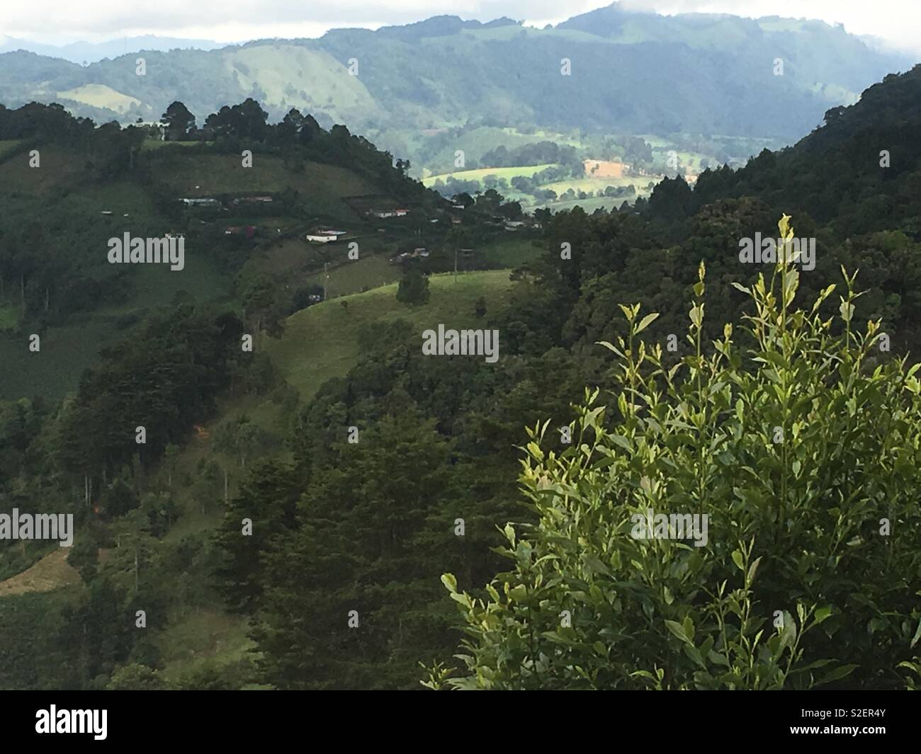 Paisaje verde naturaleza hi-res stock photography and images - Alamy