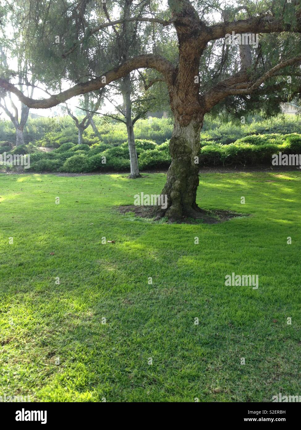 Nature at its best Stock Photo Alamy