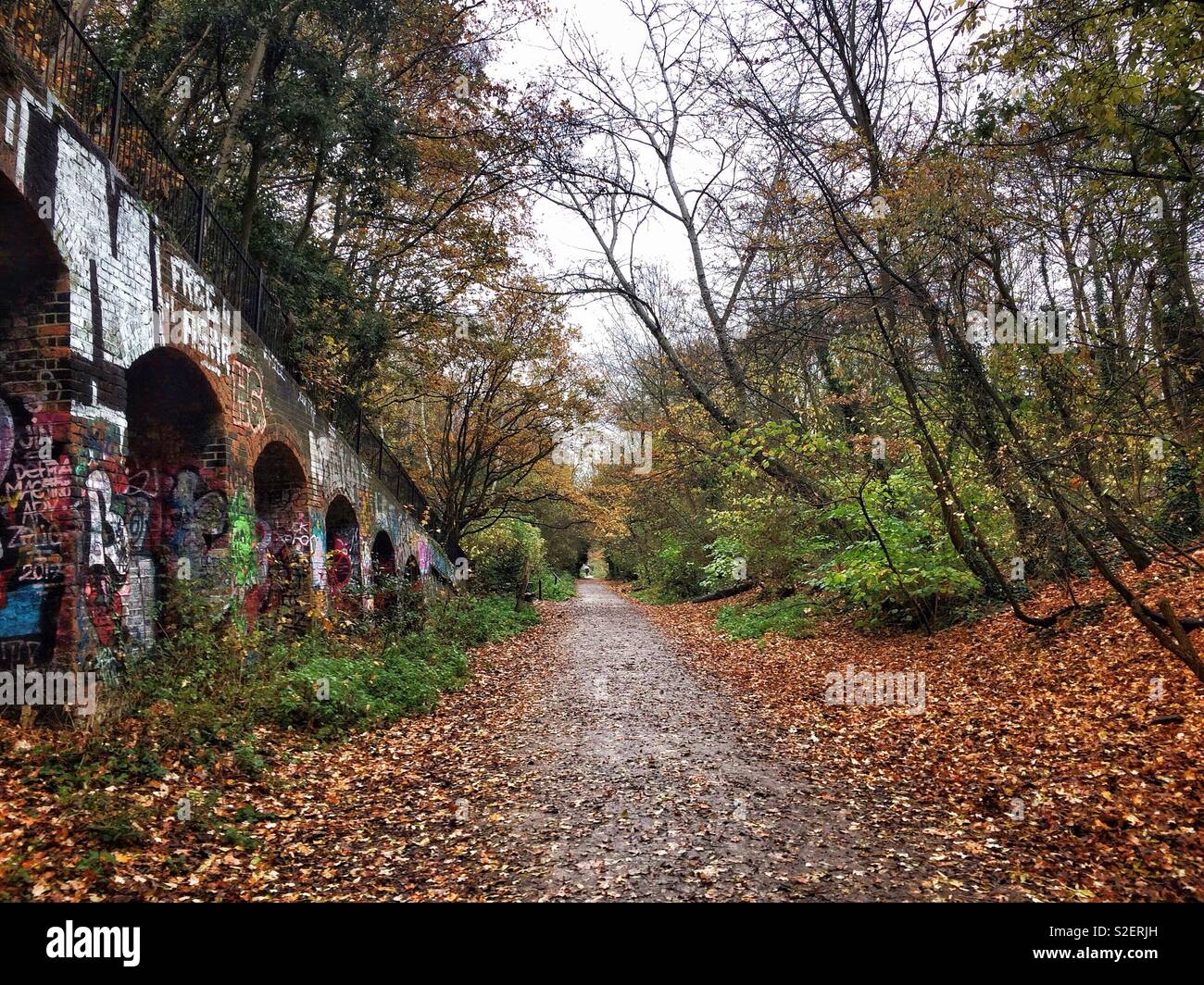 Parkland Walk in North London - a pathway and nature reserve along the route of a disused railway line. Showing autumn colours, someone carrying an umbrella in the far distance at the end of the path. - Smartphone Captured Stock Image