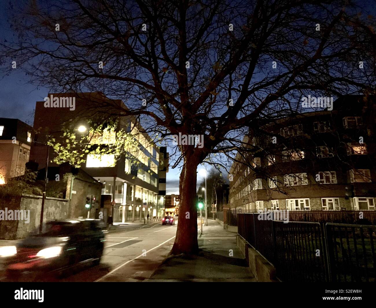 A silhouette of a tree on Marrowbone Lane, Dublin, Ireland. - Smartphone Captured Stock Image