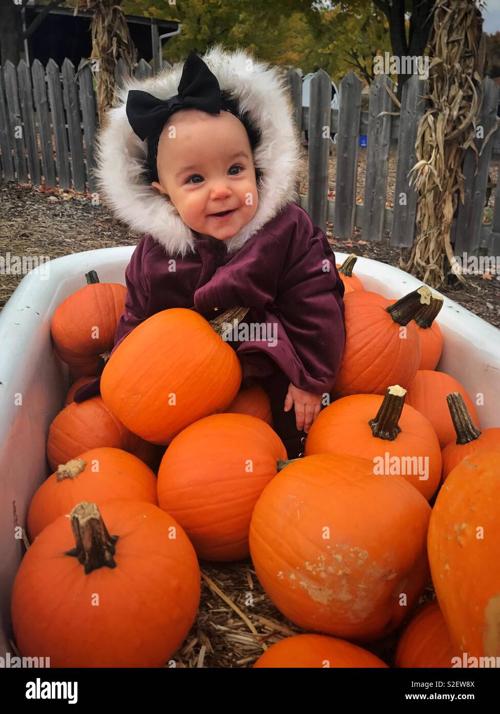 Baby sat with pumpkins on Halloween Stock Photo