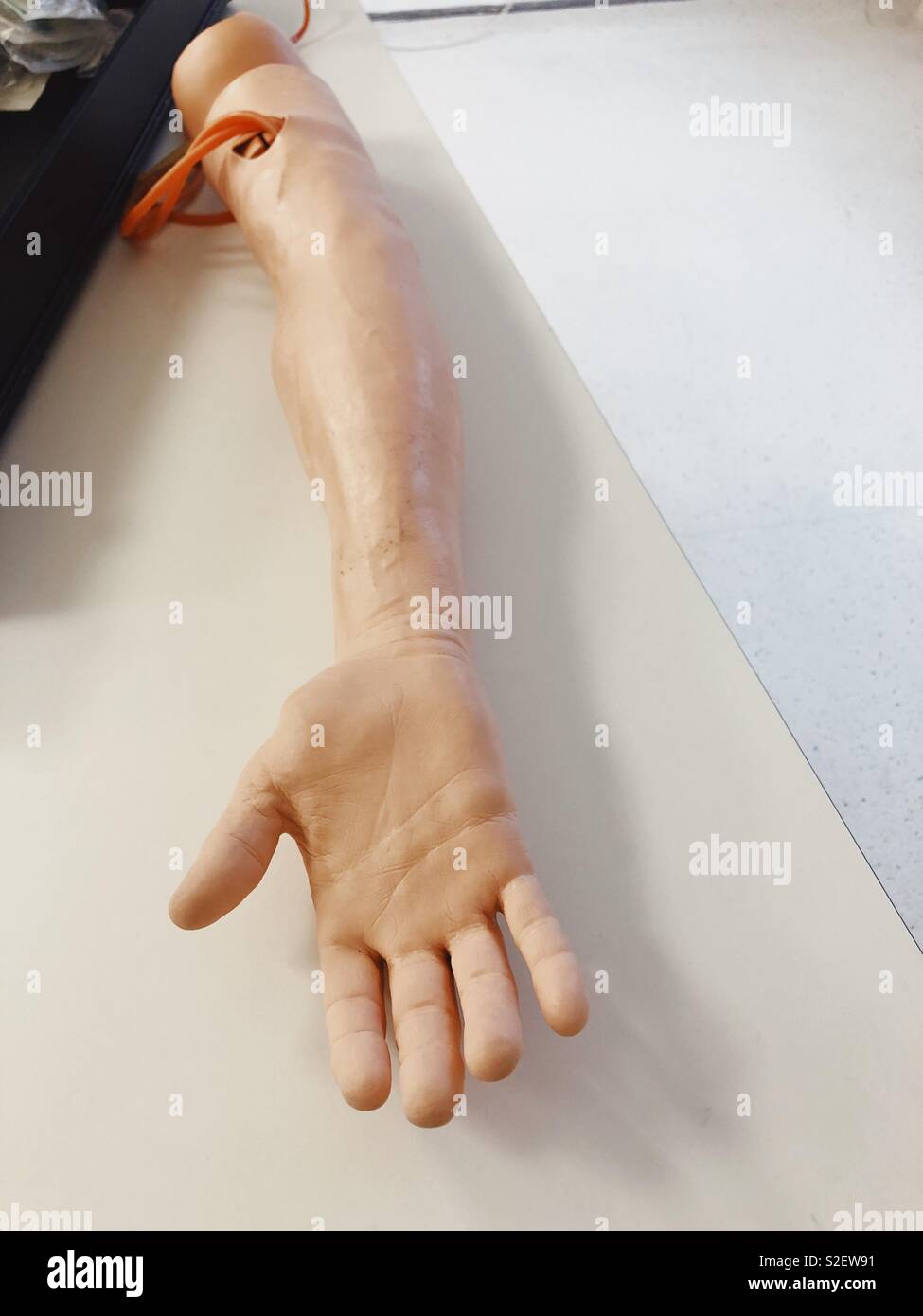 Prosthetic arm for medical or nursing school training Stock Photo Alamy