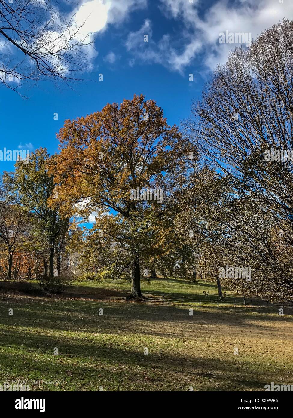 Autumn Colors in Central Park Stock Photo - Alamy