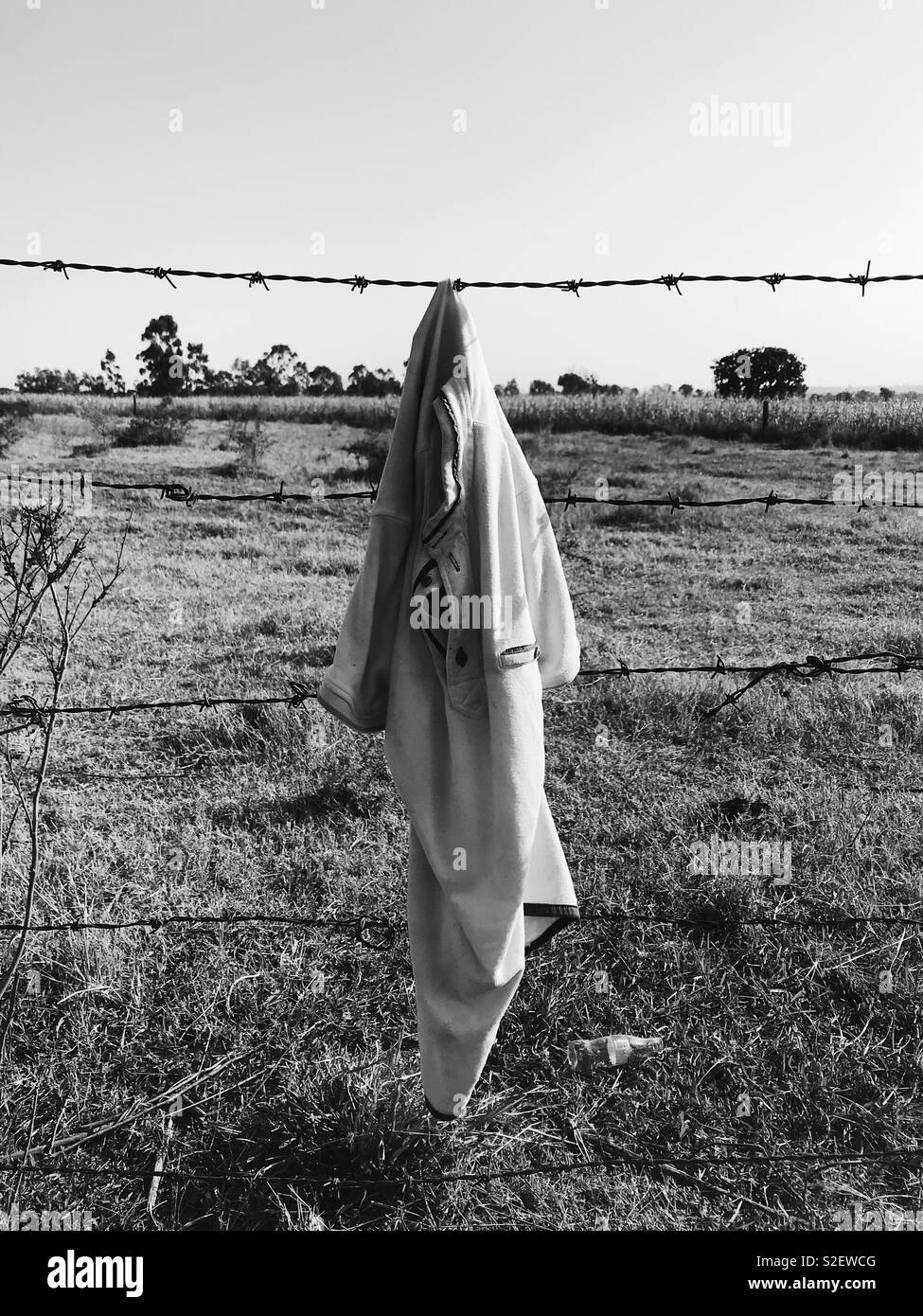 Inhumane Borders (b&w). Preused white polo shirt stuck in a barbed wire. Depiction of dangers of crossing borders. Shot near Tepatitlán de Morelos, Jalisco, Mexico. 1st January 2018 - Smartphone Captured Stock Image