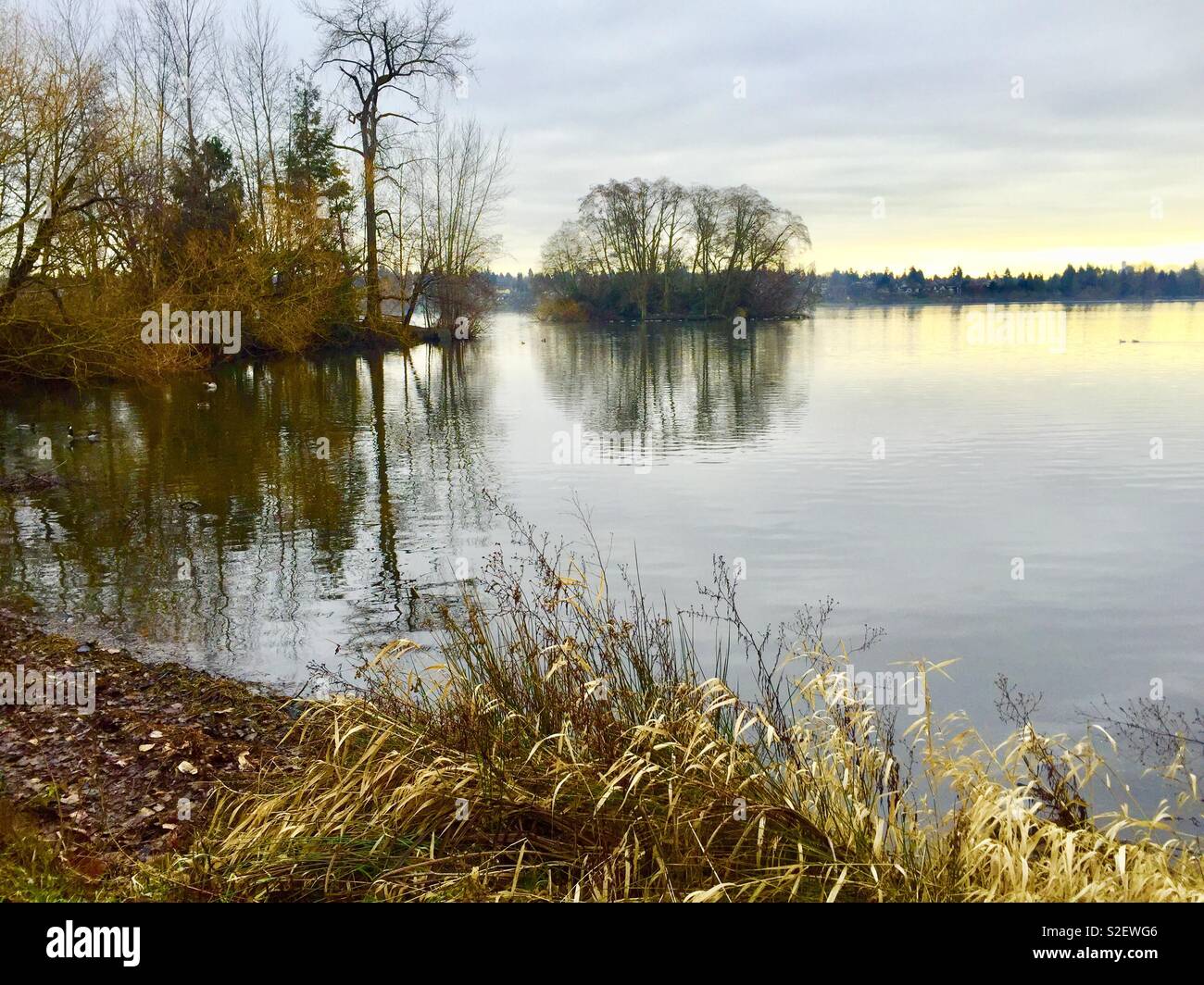 Green Lake Seattle - Smartphone Captured Stock Image