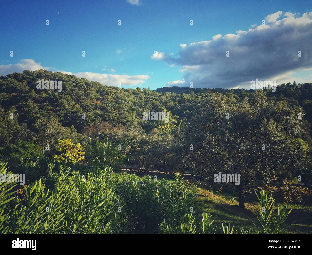 Landscape and scenic view of mountainous countryside in Alájar Andalucia Spain as sun sets in Autumn Stock Photo