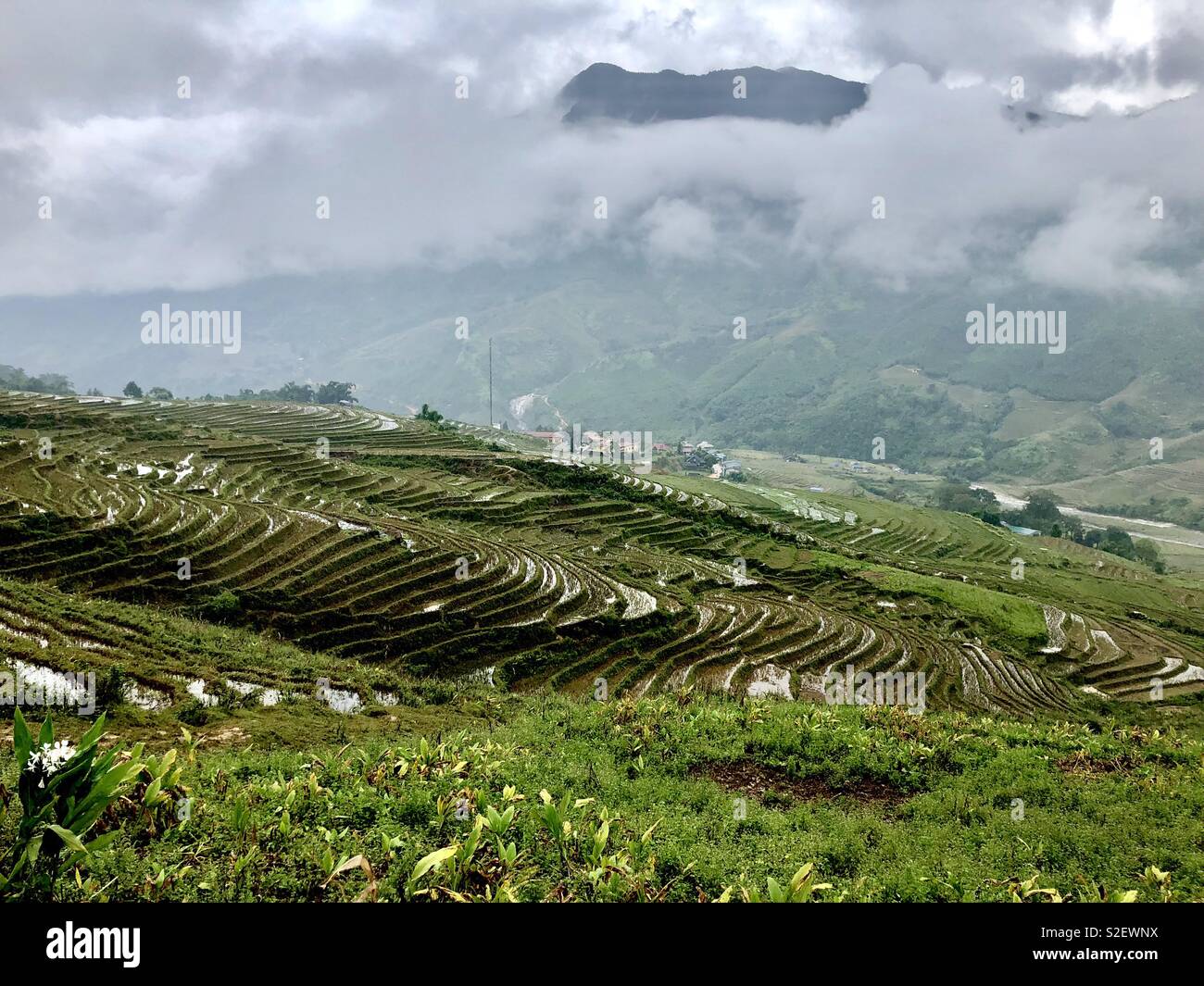 Rice fields in Sa Pa, Vietnam Stock Photo