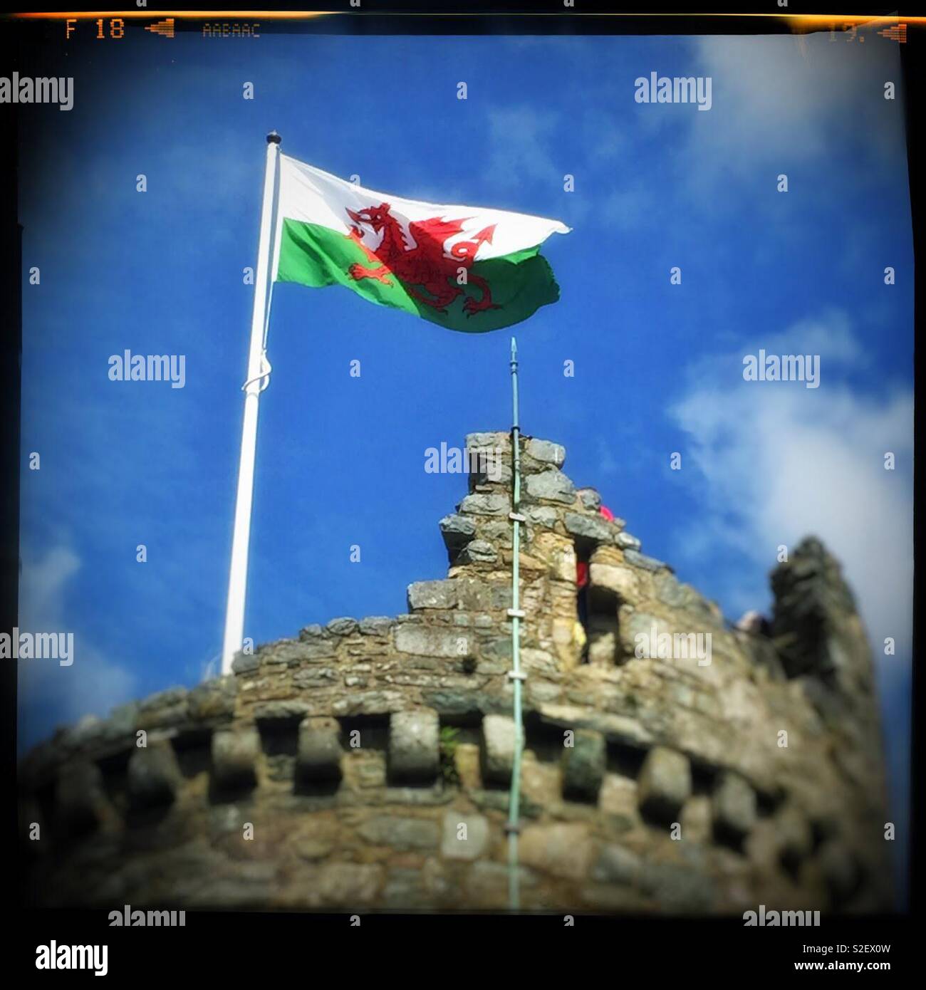 Welsh national flag flying at Caernarfon Castle Wales - Smartphone Captured Stock Image
