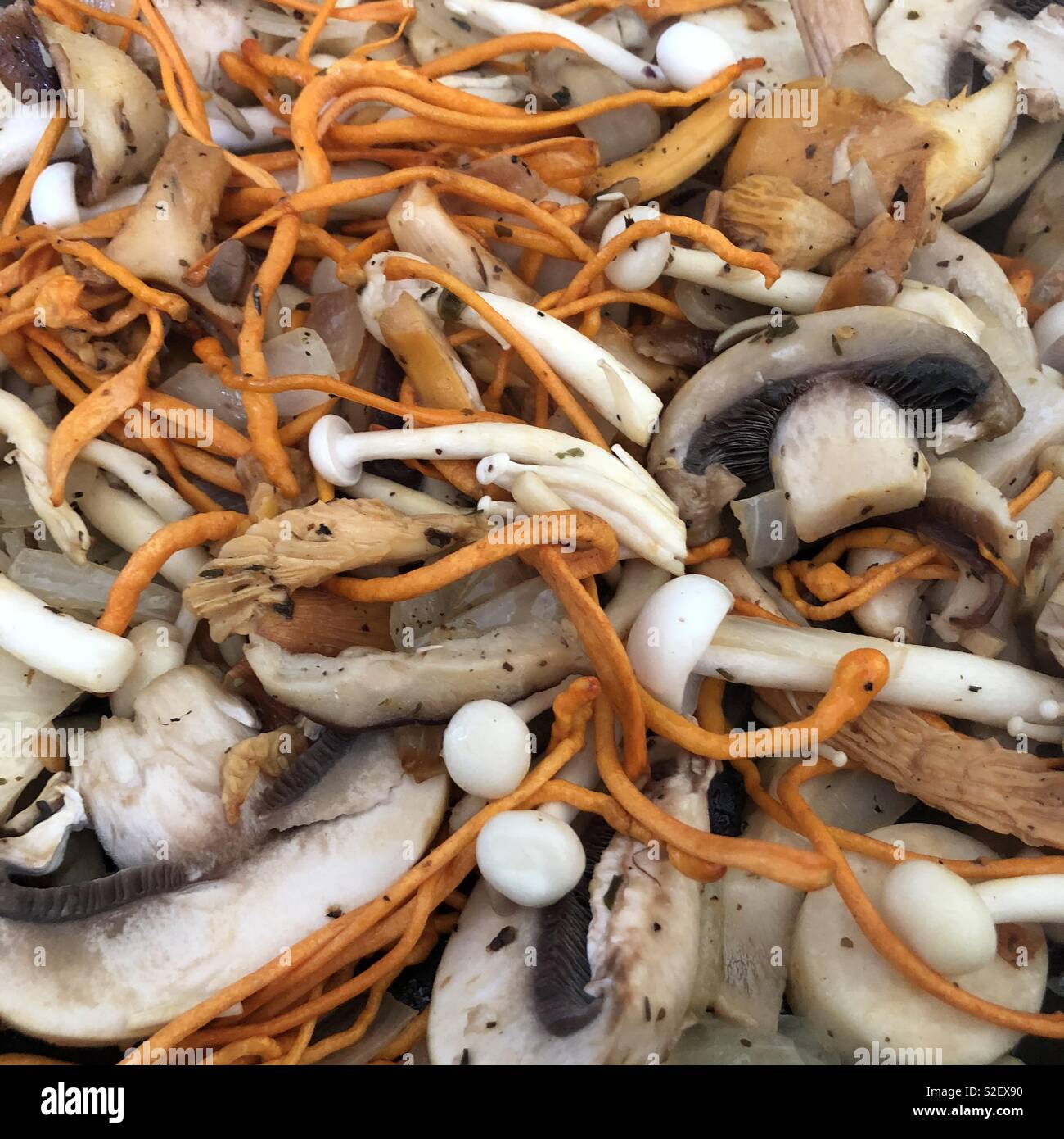 Mushroom melange with cordyceps, chanterelle, shitaki, common button, and chantrelle mushrooms. - Smartphone Captured Stock Image