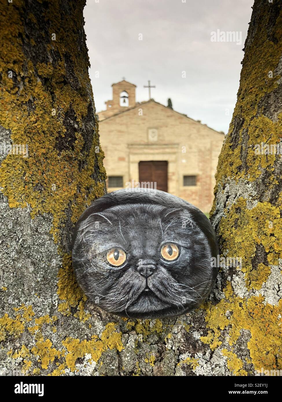 Stone cat on a tree and front of an old church - Smartphone Captured Stock Image